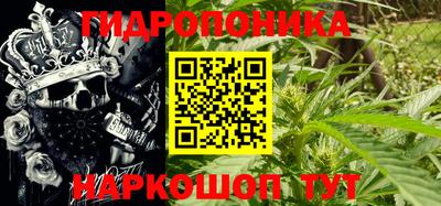 сатива Гагарин
