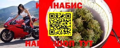 Альфа ПВП Гусиноозёрск
