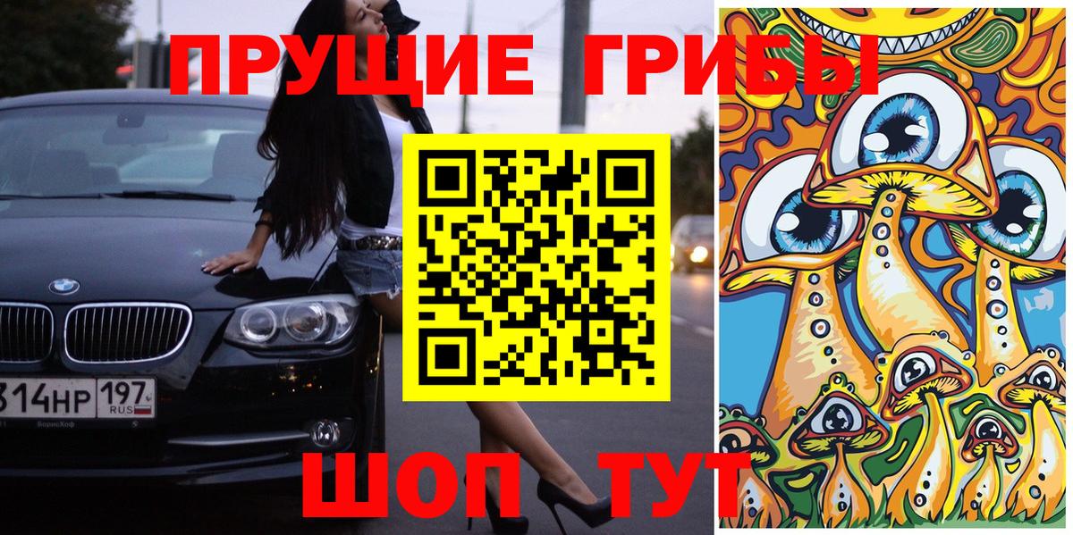 Знаменск  Галлюциногенные грибы MAGIC MUSHROOMS  Вход с VPN 