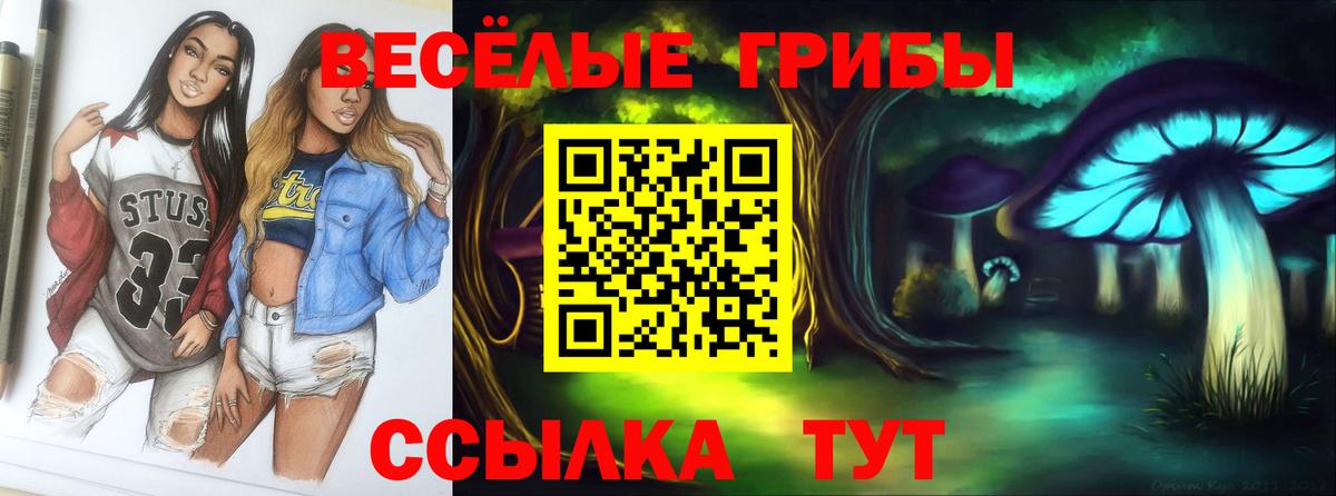 Галлюциногенные грибы GOLDEN TEACHER Знаменск